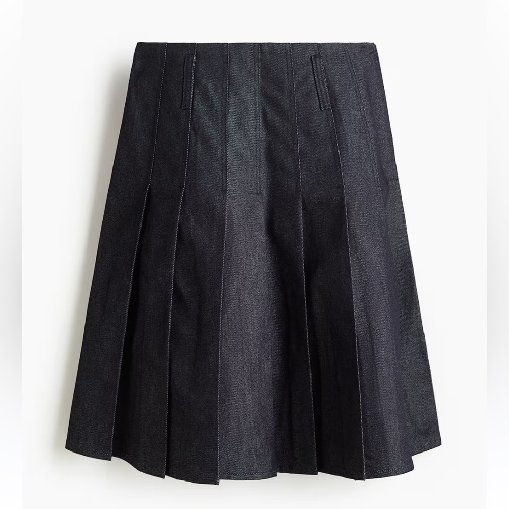 H&M Edition Pleated Denim Skirt